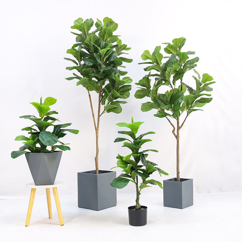Ficus Lyrata Tree - ต้นไม้ประดิษฐ์ในกระถางพลาสติก ฟิกัสใบฟิดเดิล (Fiddle-leaf Ficus lyrata) ​
