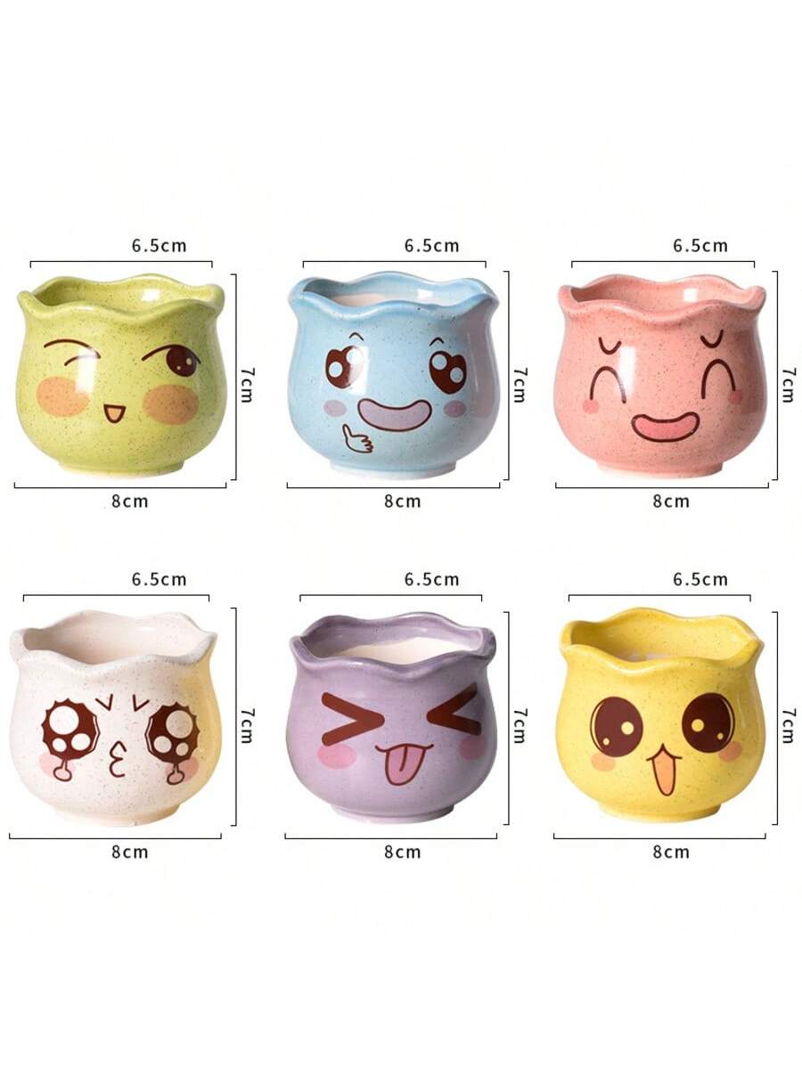 กระถางดอกไม้เซรามิกลายการ์ตูนน - Echeveria Succulent บทวิจารณ์และราคา
