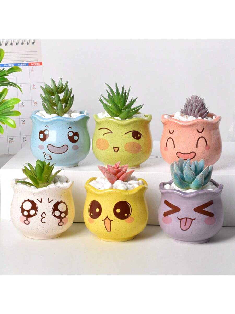 กระถางดอกไม้เซรามิกลายการ์ตูนน - Echeveria Succulent บทวิจารณ์และราคา