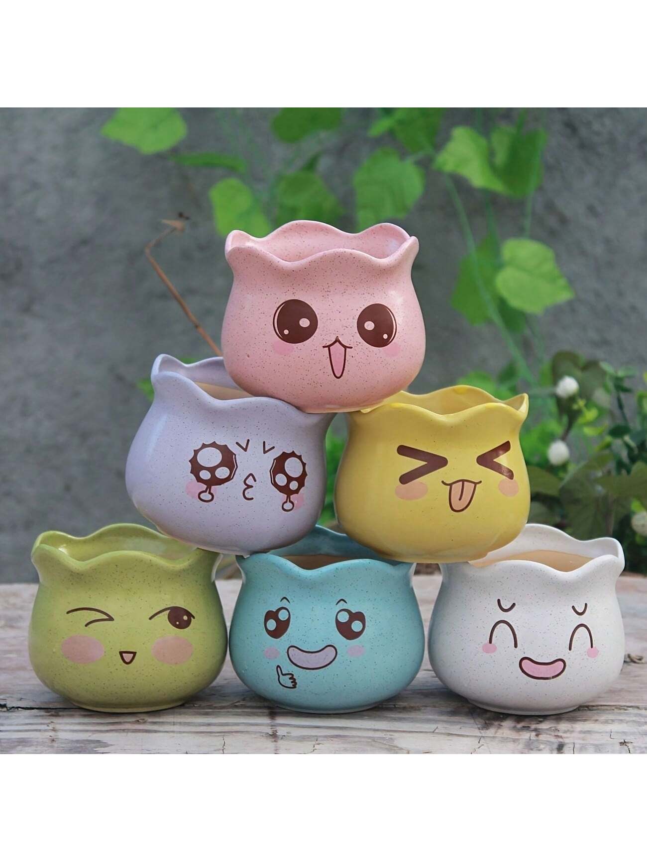 กระถางดอกไม้เซรามิกลายการ์ตูนน - Echeveria Succulent บทวิจารณ์และราคา