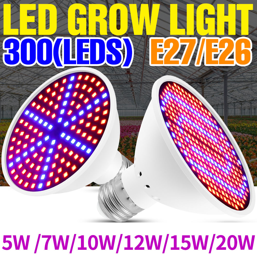 ไฟ LED ปลูกพืช 25W E27 ฟูลสเปก - Echeveria Succulent บทวิจารณ์และราคา