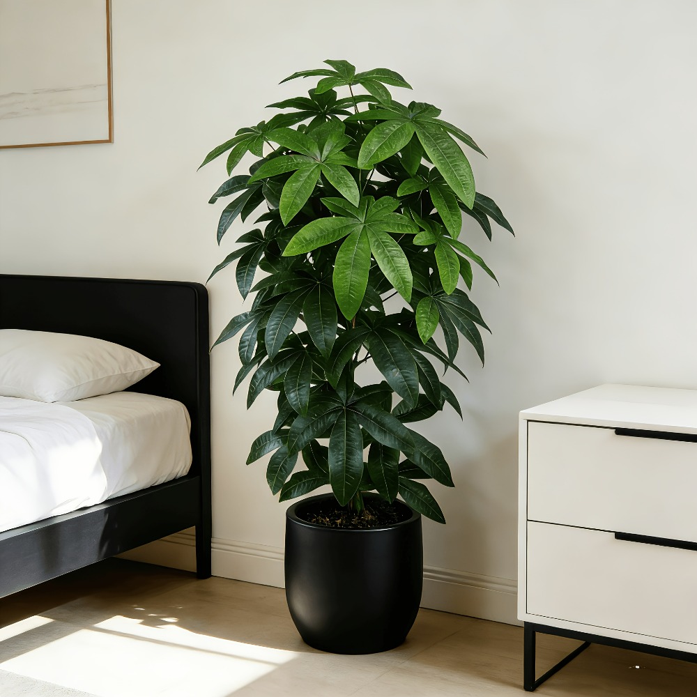 ต้นไม้เงินประดิษฐ์พัชรีรา อควา - Ficus Lyrata Tree บทวิจารณ์และราคา